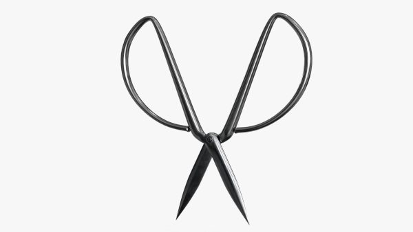 Scissors sword