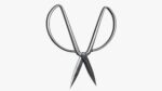 Scissors sword
