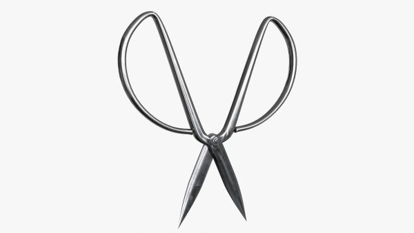 Scissors sword