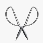Scissors sword