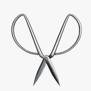 Scissors sword