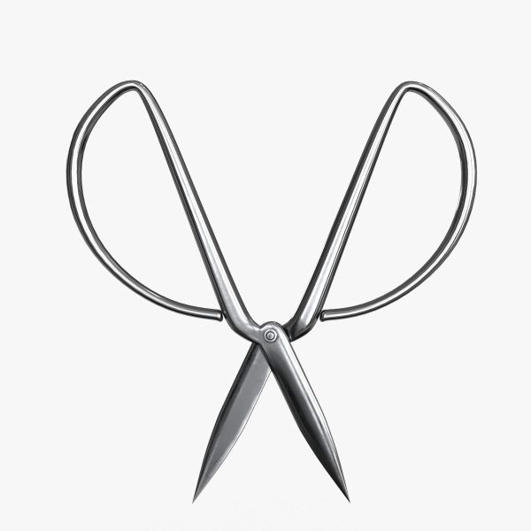 Scissors sword