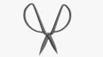 Scissors sword