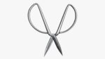 Scissors sword