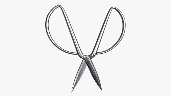 Scissors sword