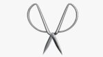 Scissors sword