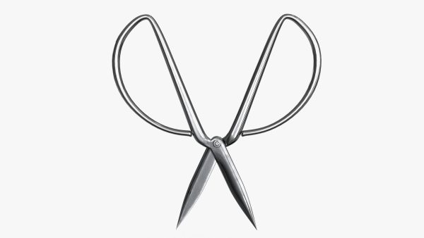 Scissors sword