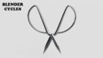 Scissors sword