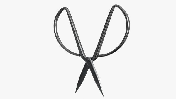 Scissors sword