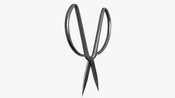 Scissors sword