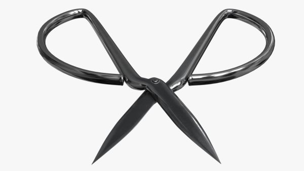 Scissors sword