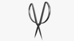 Scissors sword