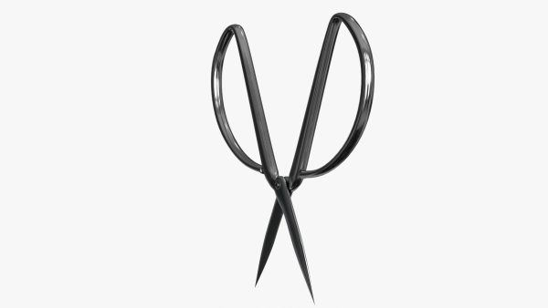 Scissors sword