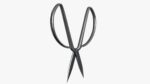 Scissors sword