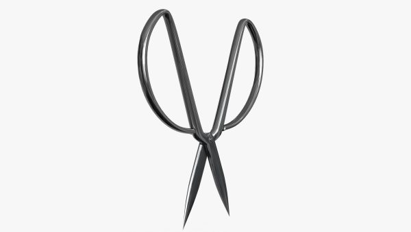 Scissors sword