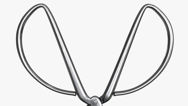 Scissors sword