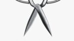 Scissors sword