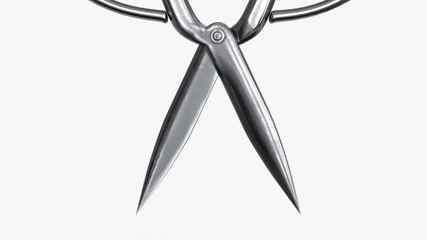 Scissors sword