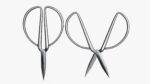 Scissors sword