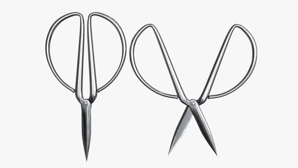 Scissors sword