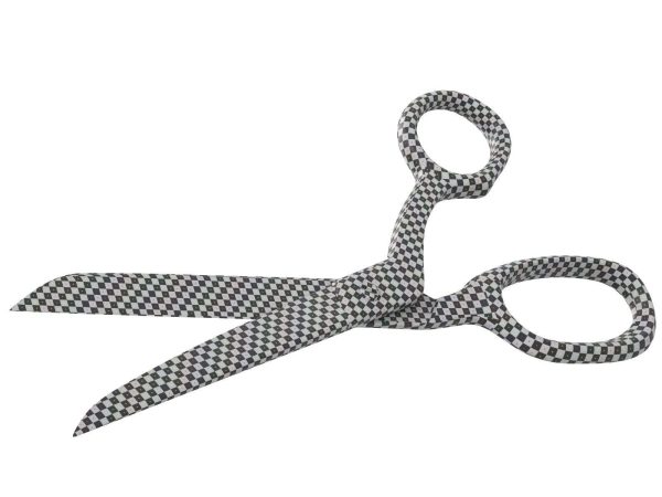 Scissors pair of