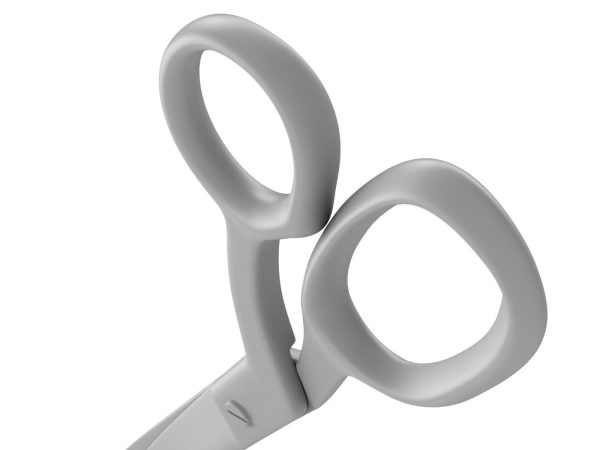 Scissors pair of