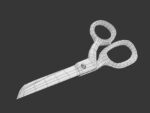 Scissors pair of