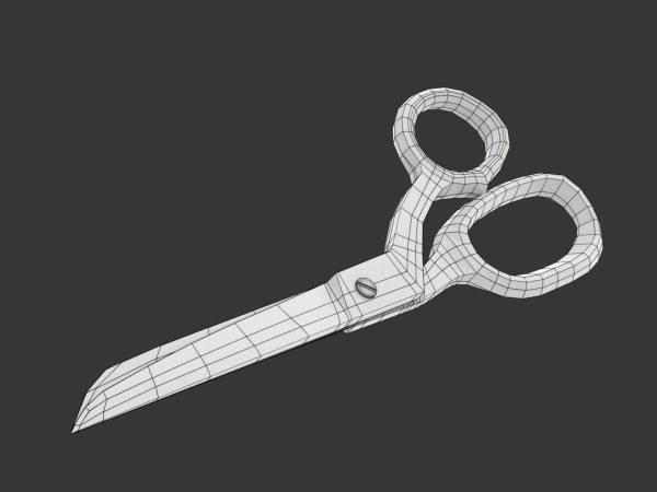 Scissors pair of