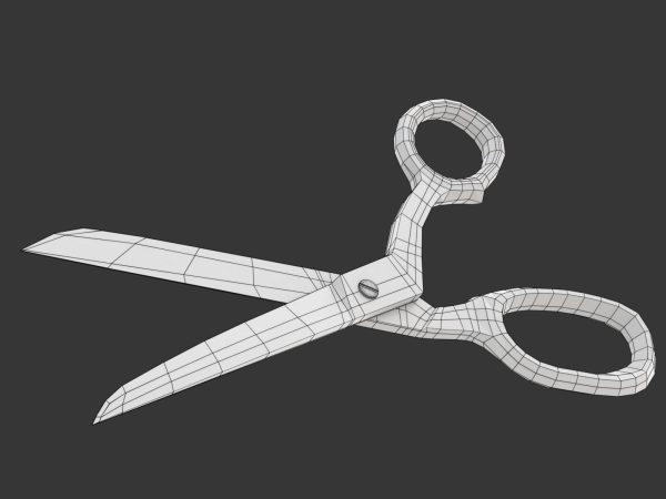 Scissors pair of