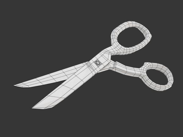 Scissors pair of
