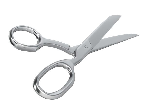 Scissors pair of