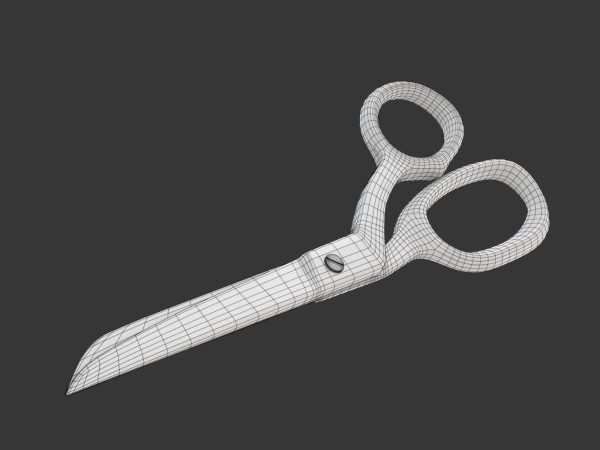 Scissors pair of