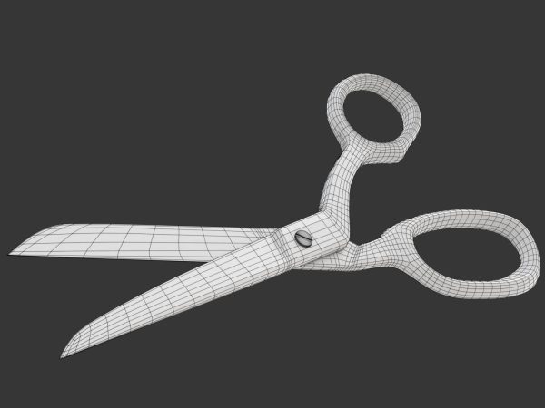 Scissors pair of