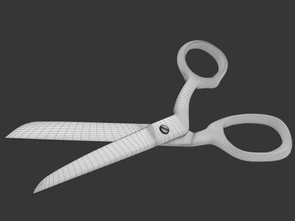 Scissors pair of