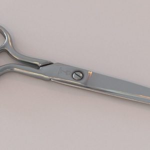 Scissors pair of
