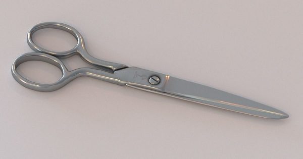 Scissors pair of