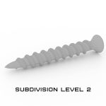 Screw screws