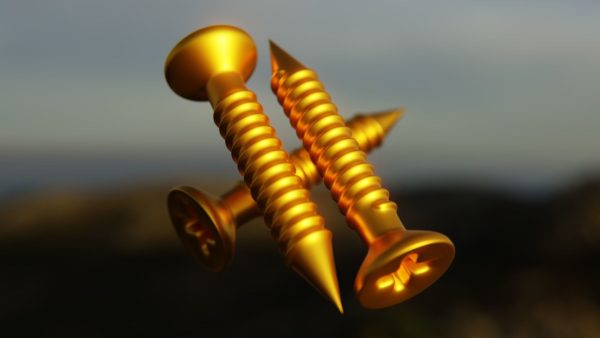 Screw