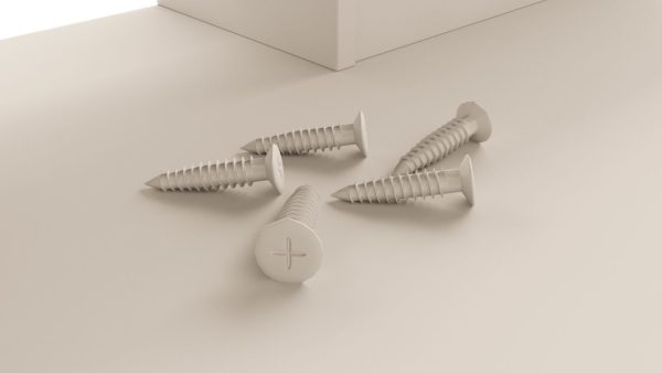Screw