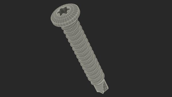 Self Drilling Screw