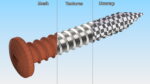 Sheet Metal Screw