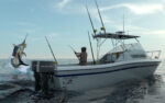 Shimano Fishing Rod and Reel
