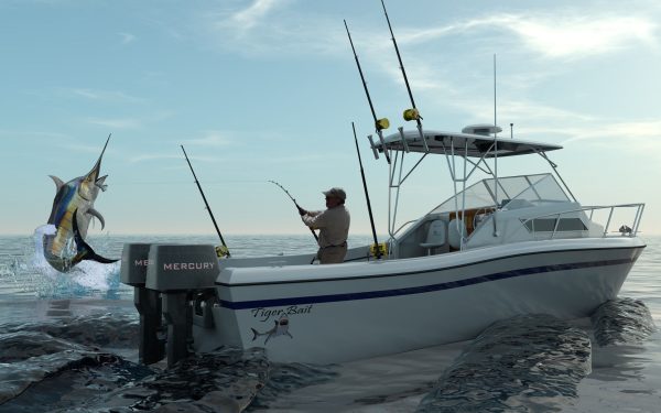 Shimano Fishing Rod and Reel