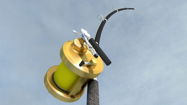 Shimano Fishing Rod and Reel