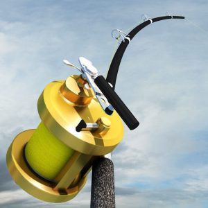 Shimano Fishing Rod and Reel