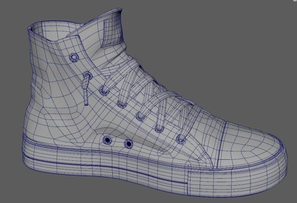 shoe sneaker