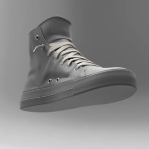 shoe sneaker