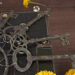 skeleton-keys-bunch-steel-3d-model-05a57e0446