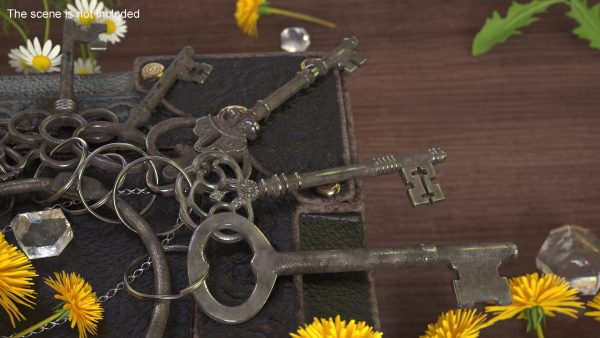 Skeleton Keys Bunch Steel