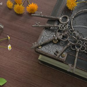 Skeleton Keys Bunch Steel